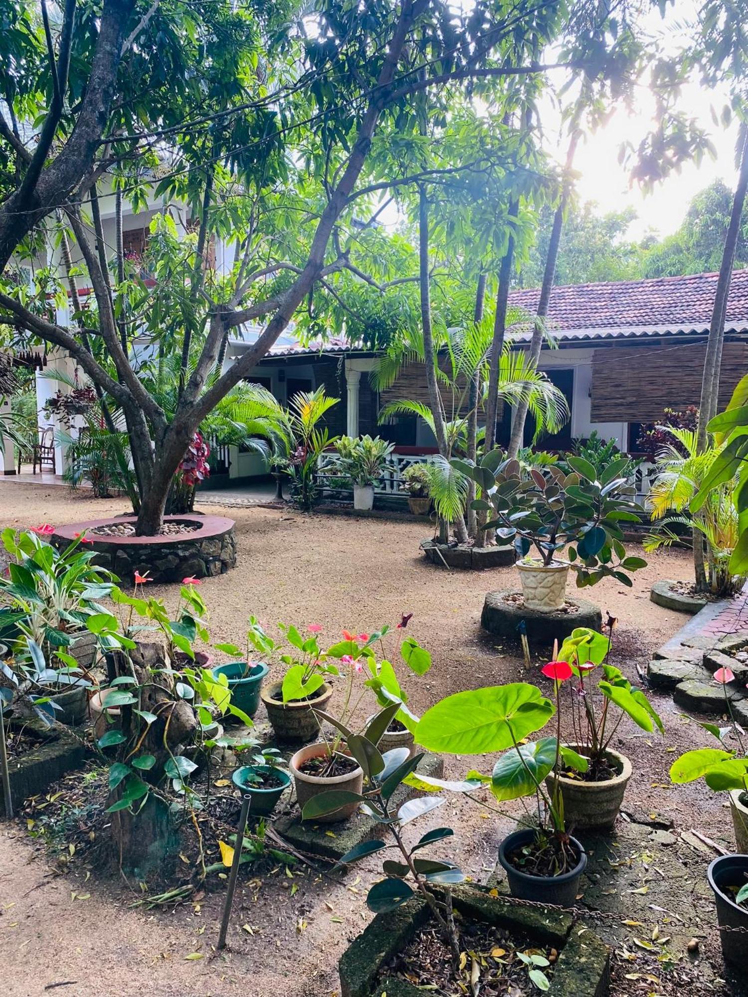 The Green Garden Dambulla Bagian luar foto