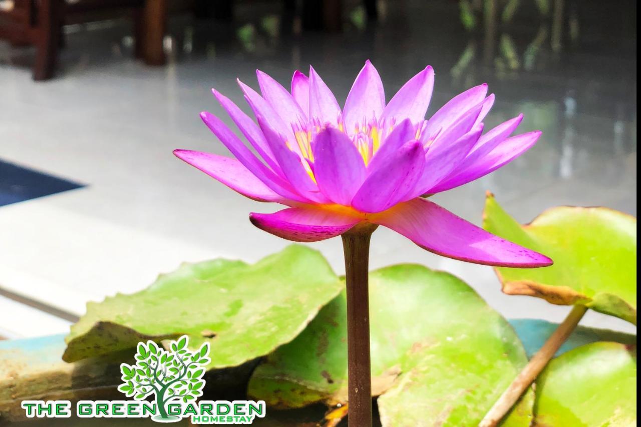 The Green Garden Dambulla Bagian luar foto