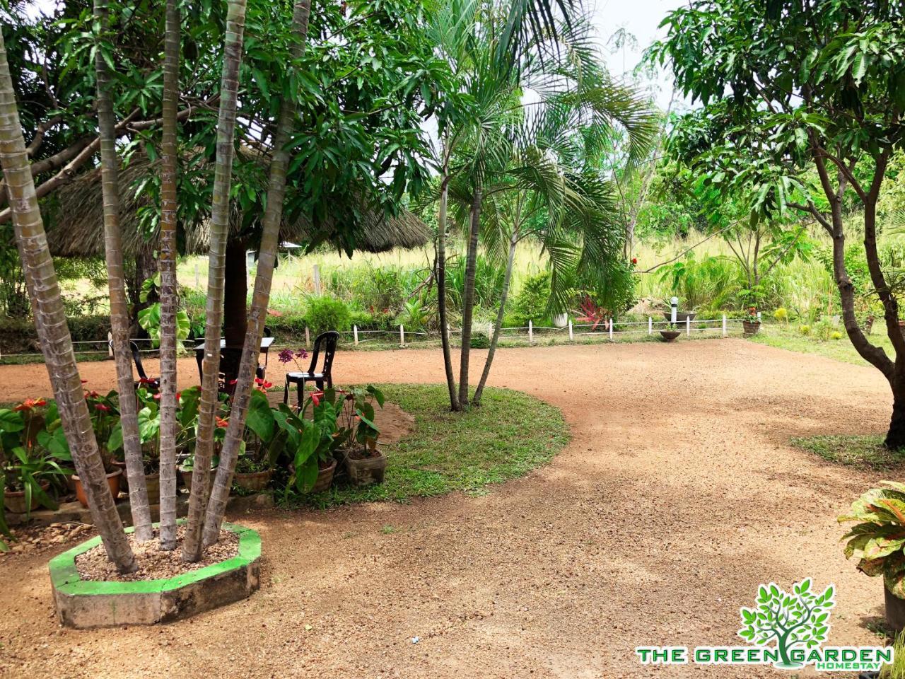 The Green Garden Dambulla Bagian luar foto